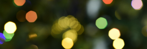 Elvis & Sinatra Christmas Show